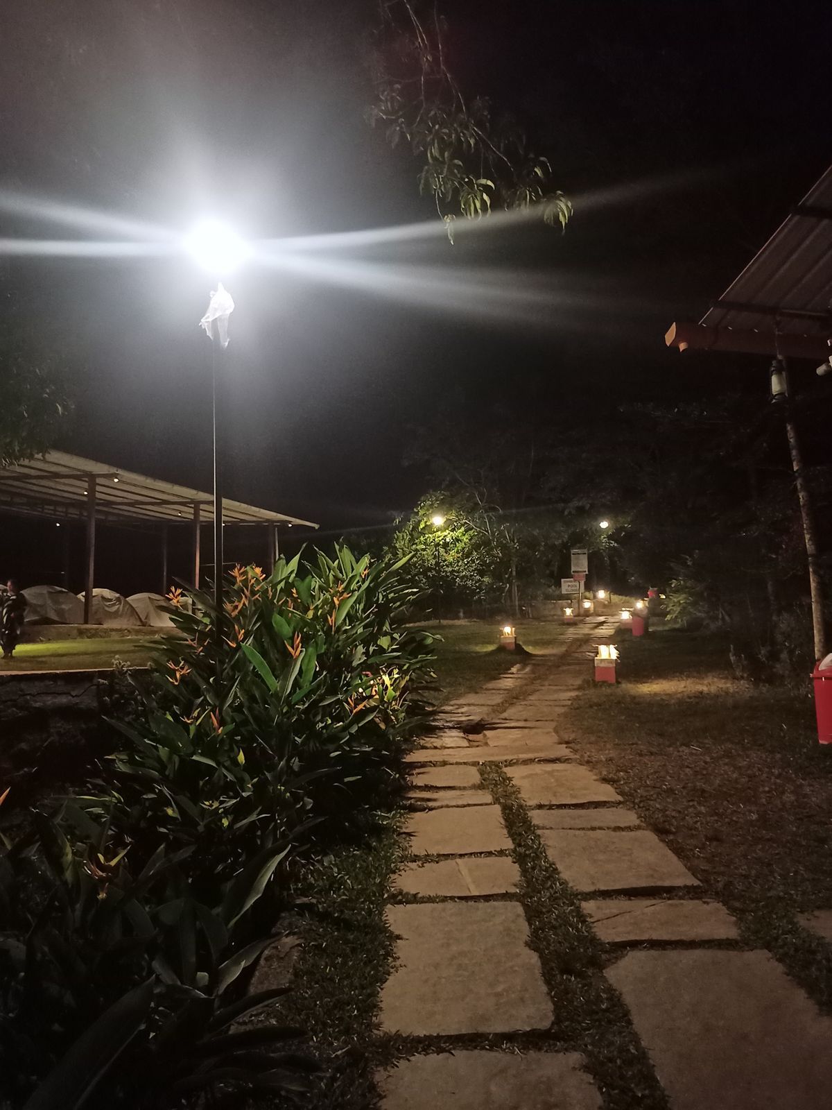 Dandeli Room 2